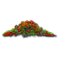 Aranjament floral funerar pentru capacul de sicriu cu flori de toamna. 2